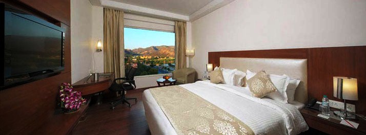 921/Regenta Central - Jaipur 09.jpg